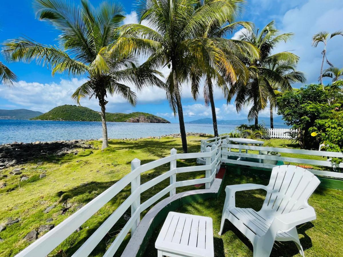 Blue Lagoon, Cottage Les Pieds Dans L Eau Terre-De-Haut Buitenkant foto